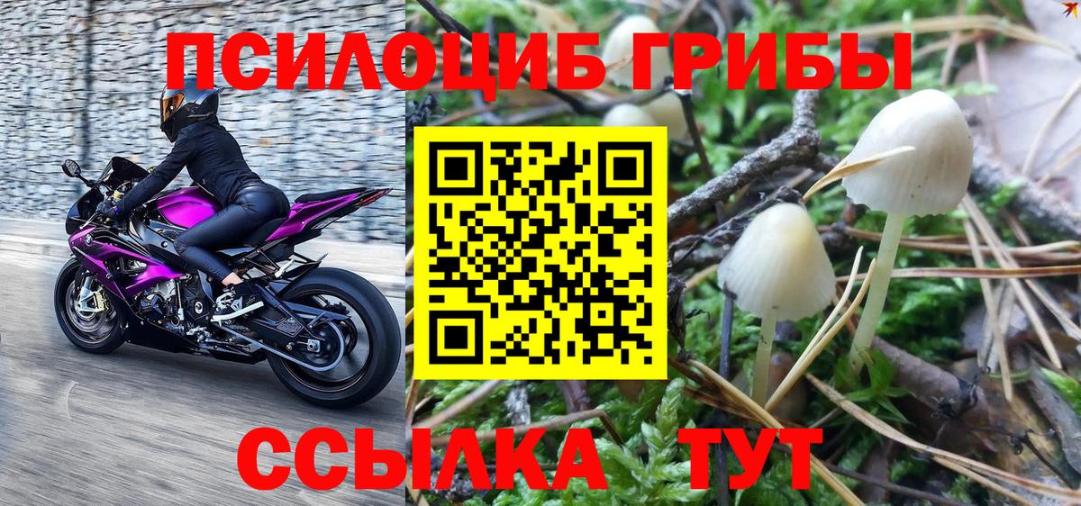 Звенигород  Галлюциногенные грибы мицелий  Вход с VPN 